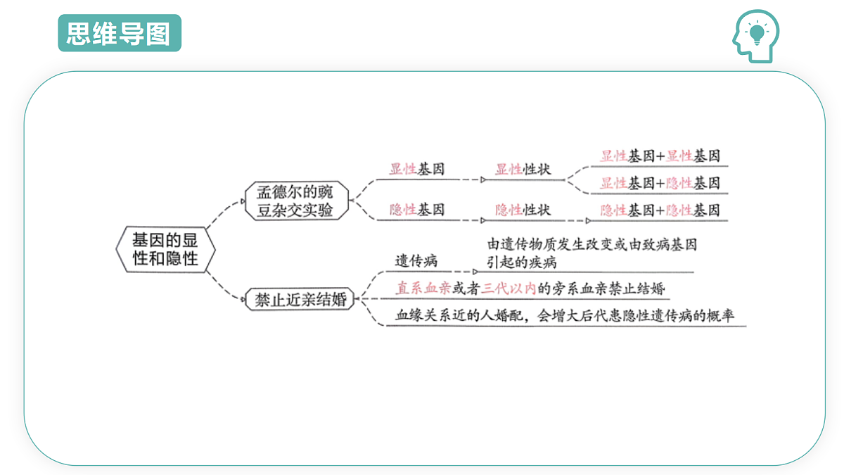 18427677第5页