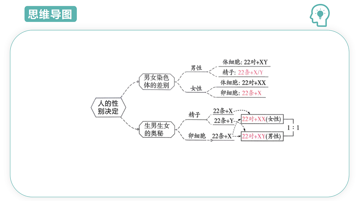 18427677第6页