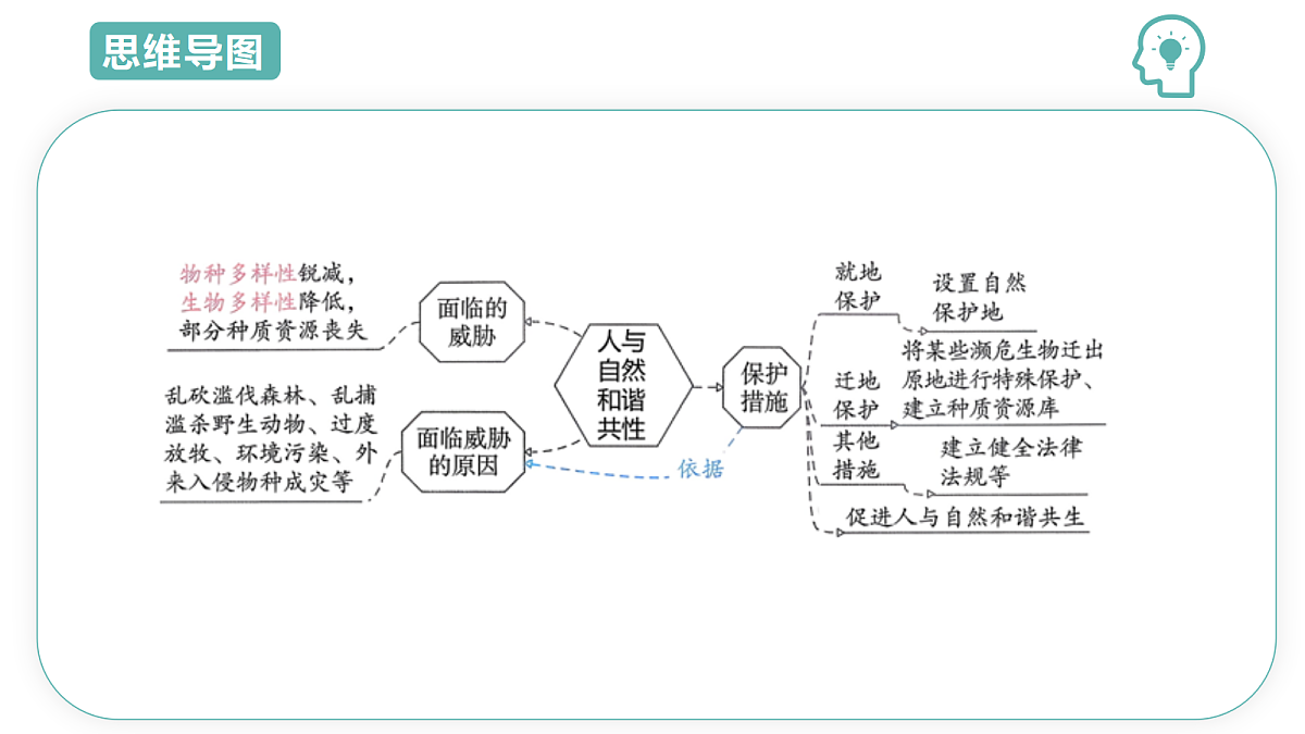 18427679第4页