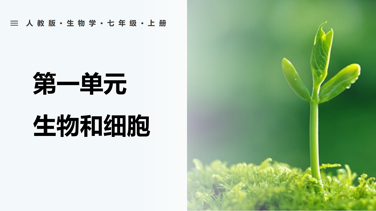 18427801第1页