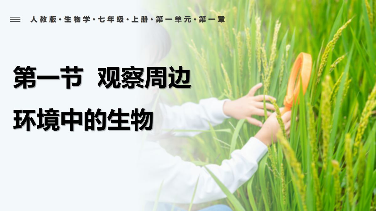 18427801第3页