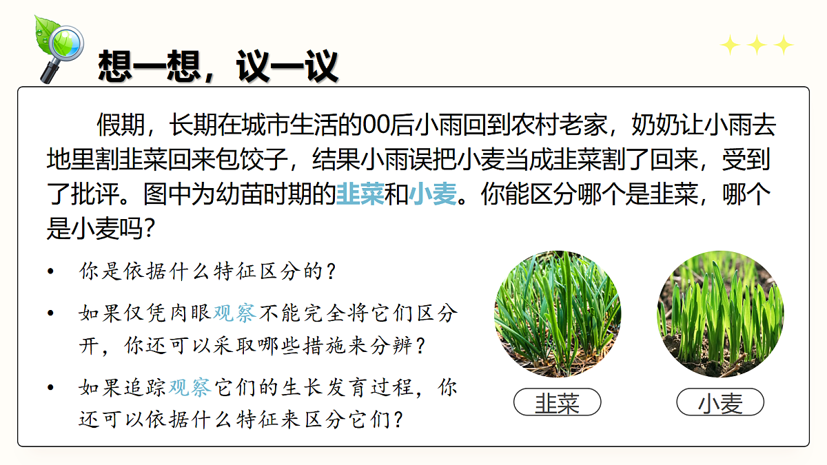 18427801第5页