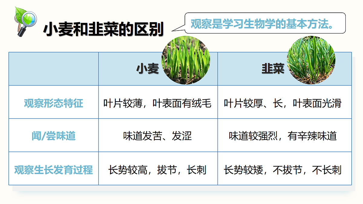 18427801第8页