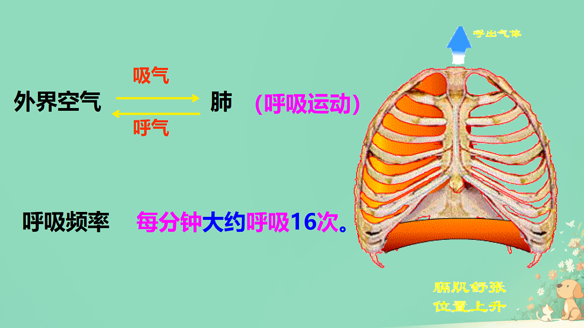 18428101第3页