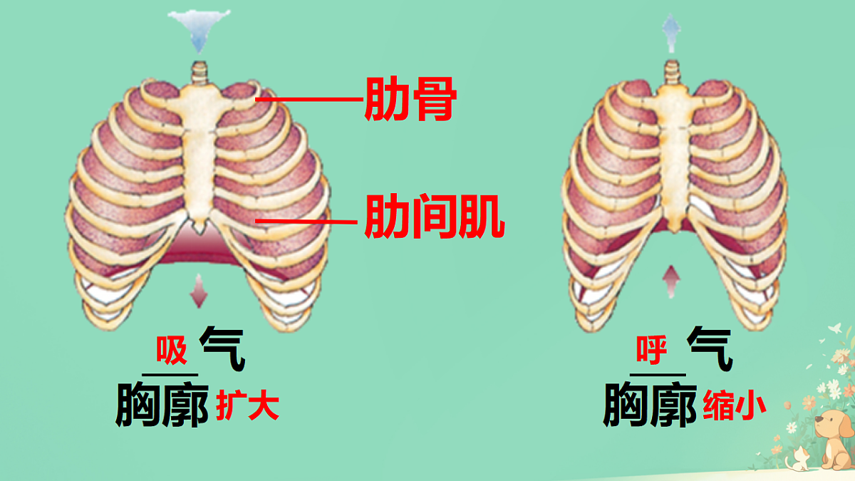 18428101第4页