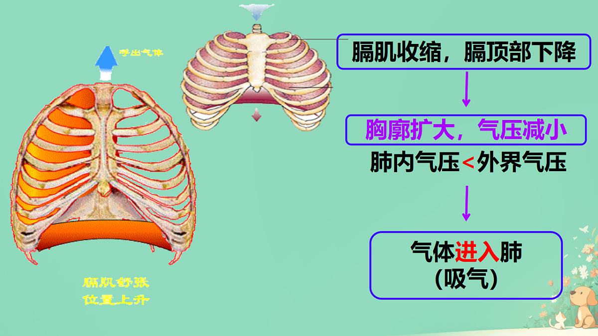 18428101第7页