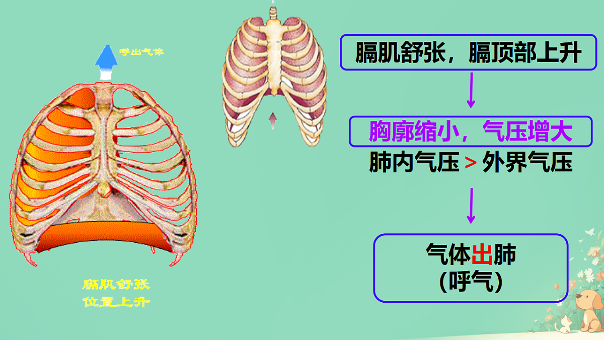 18428101第8页