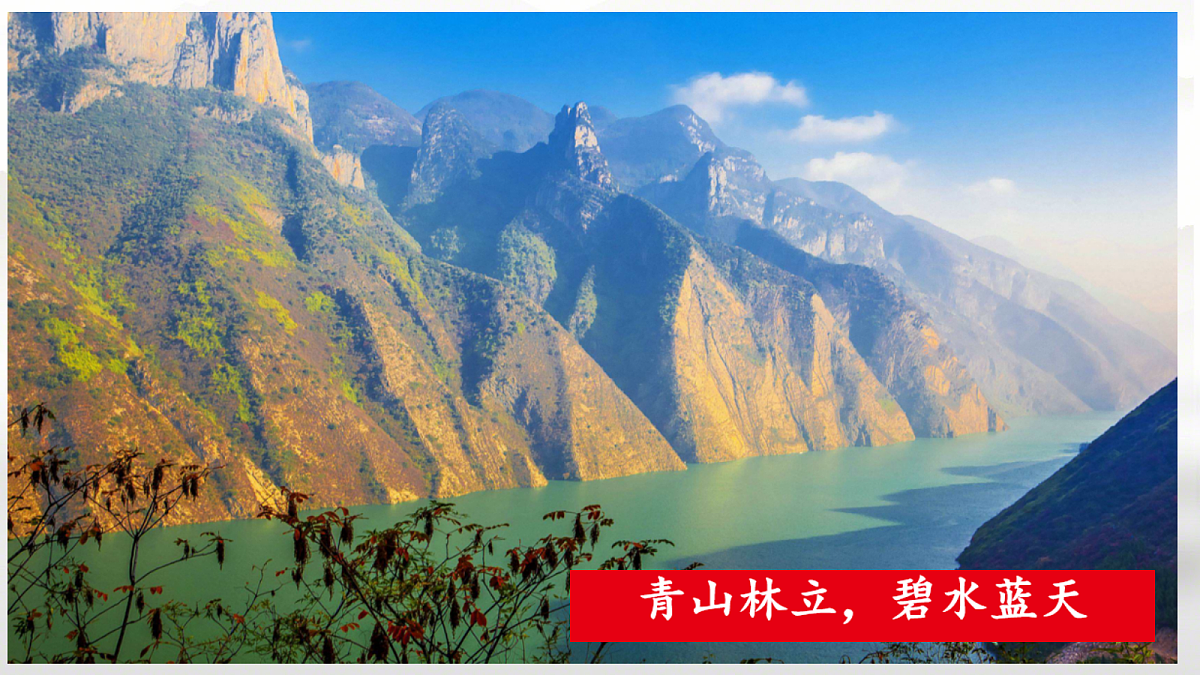 18428186第5页