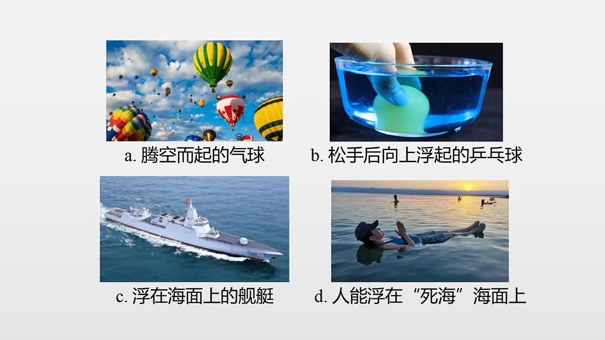 18428432第4页