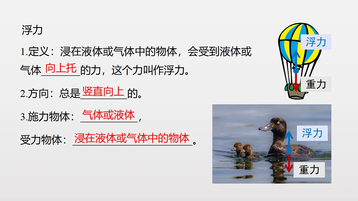 18428432第7页