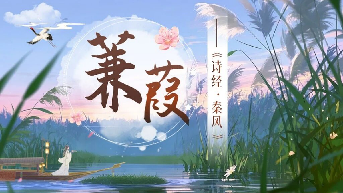 18428454第1页