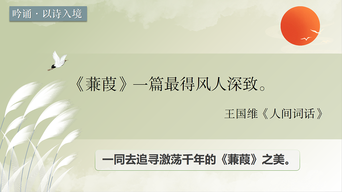 18428454第3页