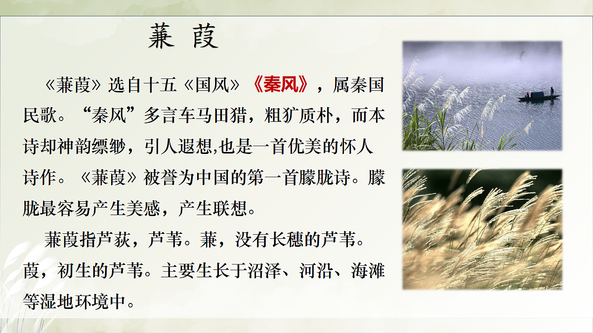 18428454第4页