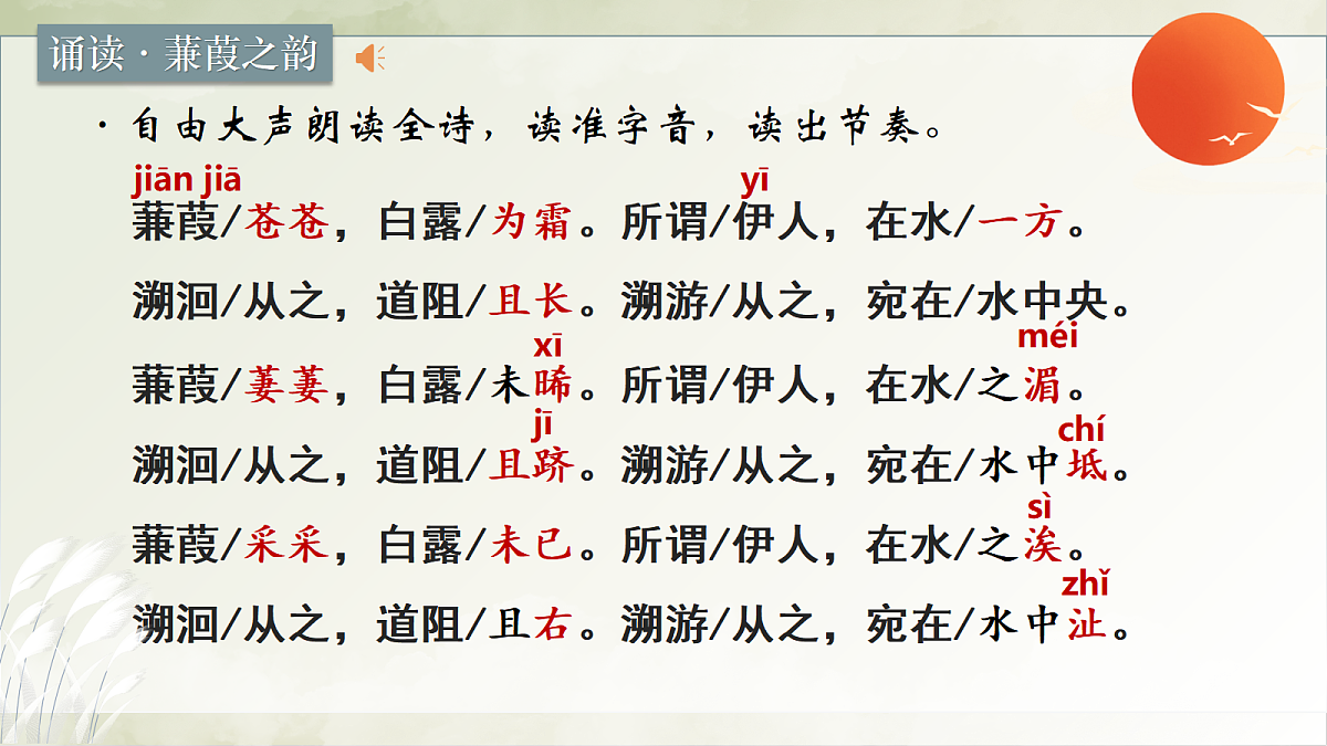 18428454第6页