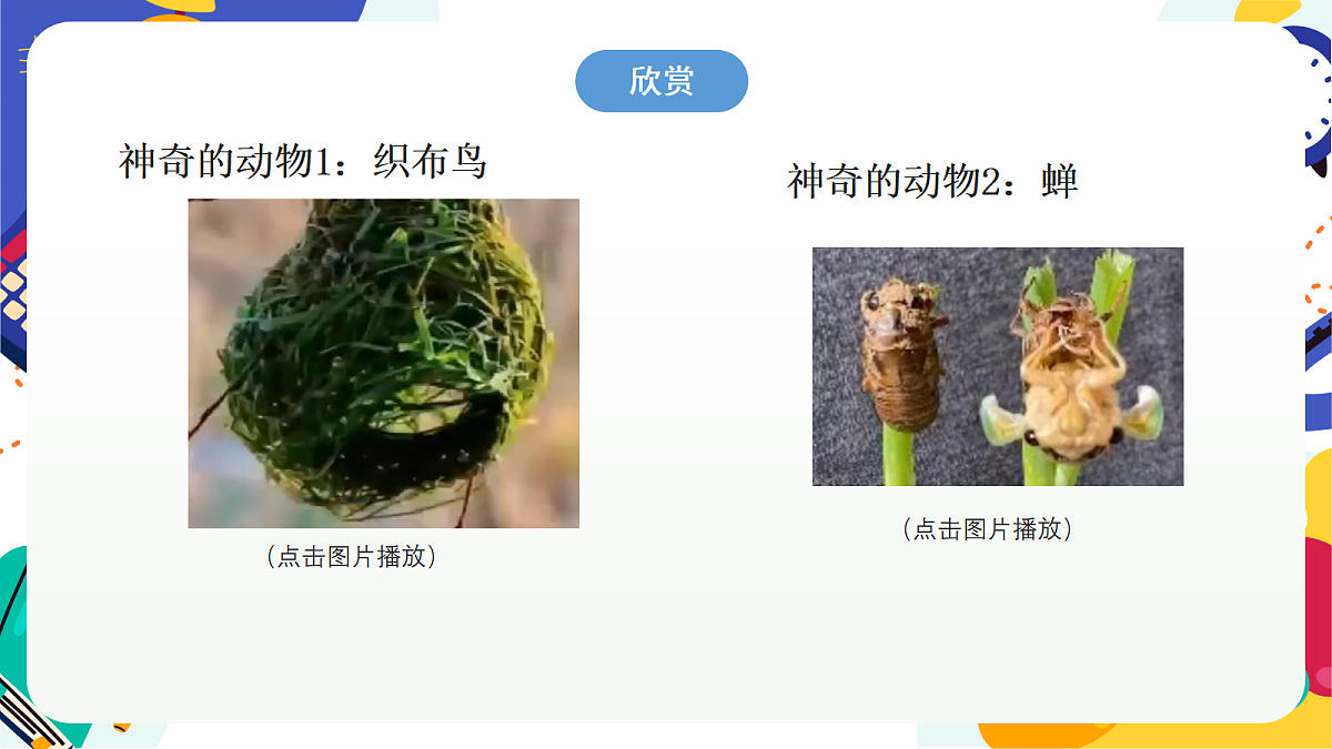 1.1《科学并不神秘》课件 浙教版科学七上第4页