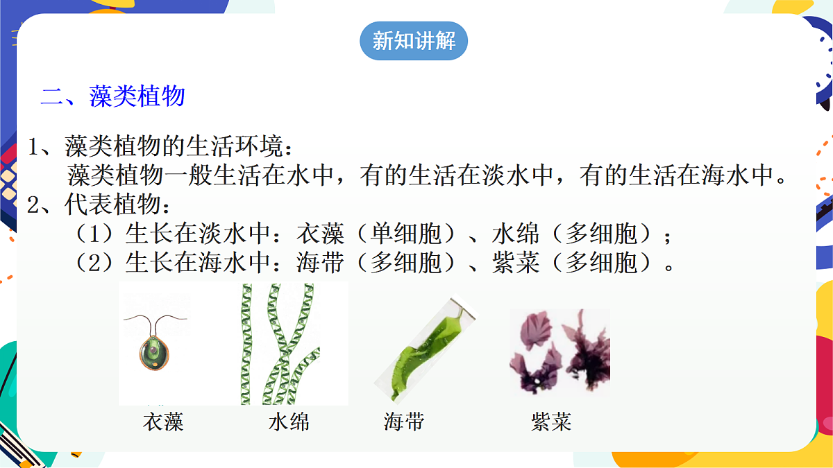2.2《形形色色的植物》第1课时 课件 浙教版科学七上第7页