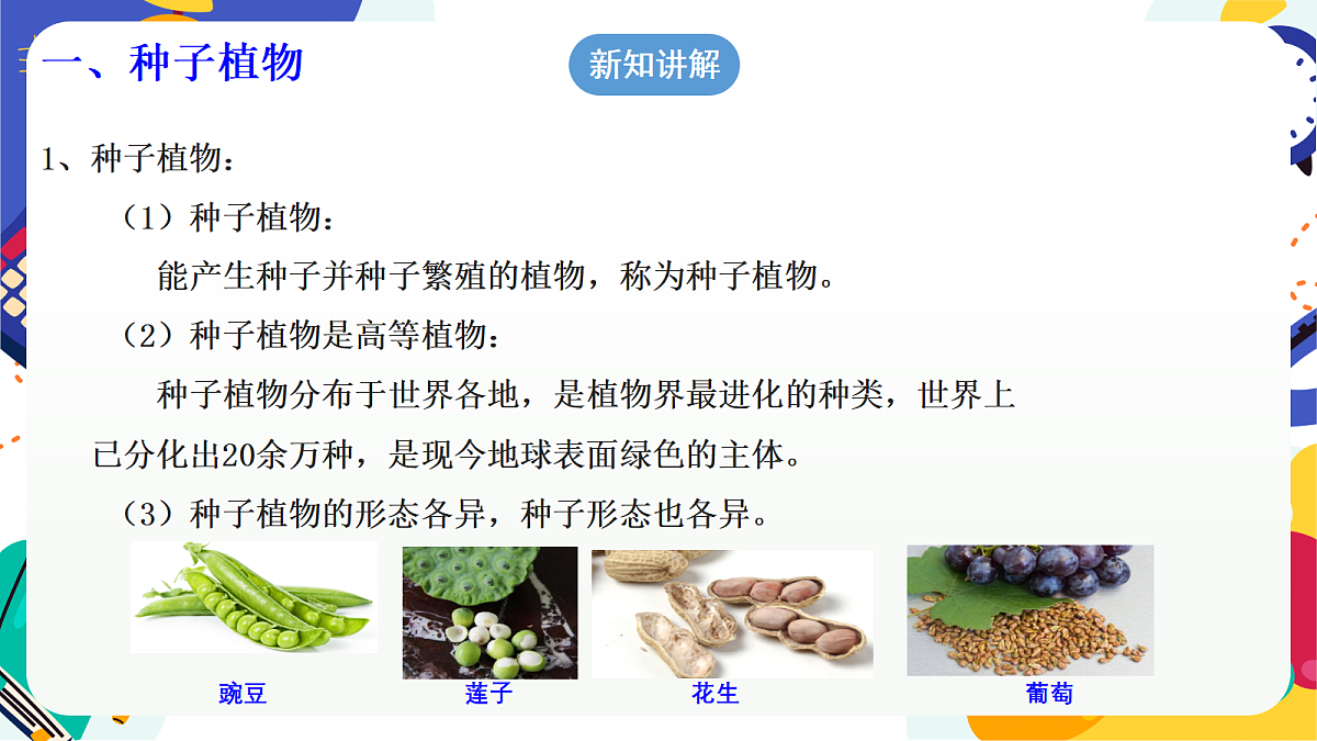 2.2《形形色色的植物》第2课时 课件 浙教版科学七上第5页