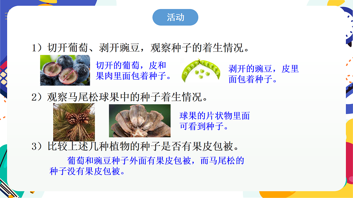 2.2《形形色色的植物》第2课时 课件 浙教版科学七上第6页
