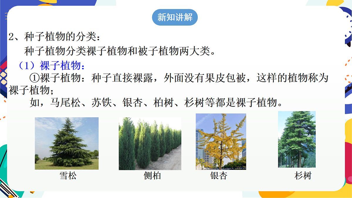 2.2《形形色色的植物》第2课时 课件 浙教版科学七上第7页