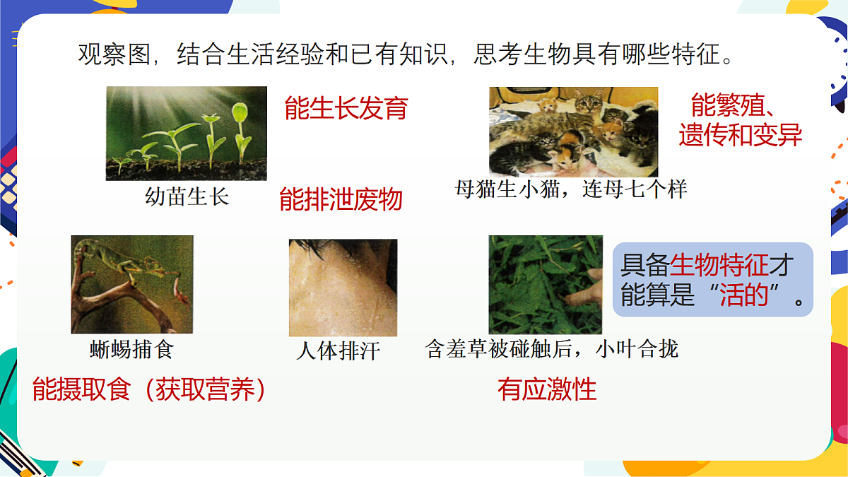 1.1《生物体的基本单位》课件 浙教版科学七上第4页