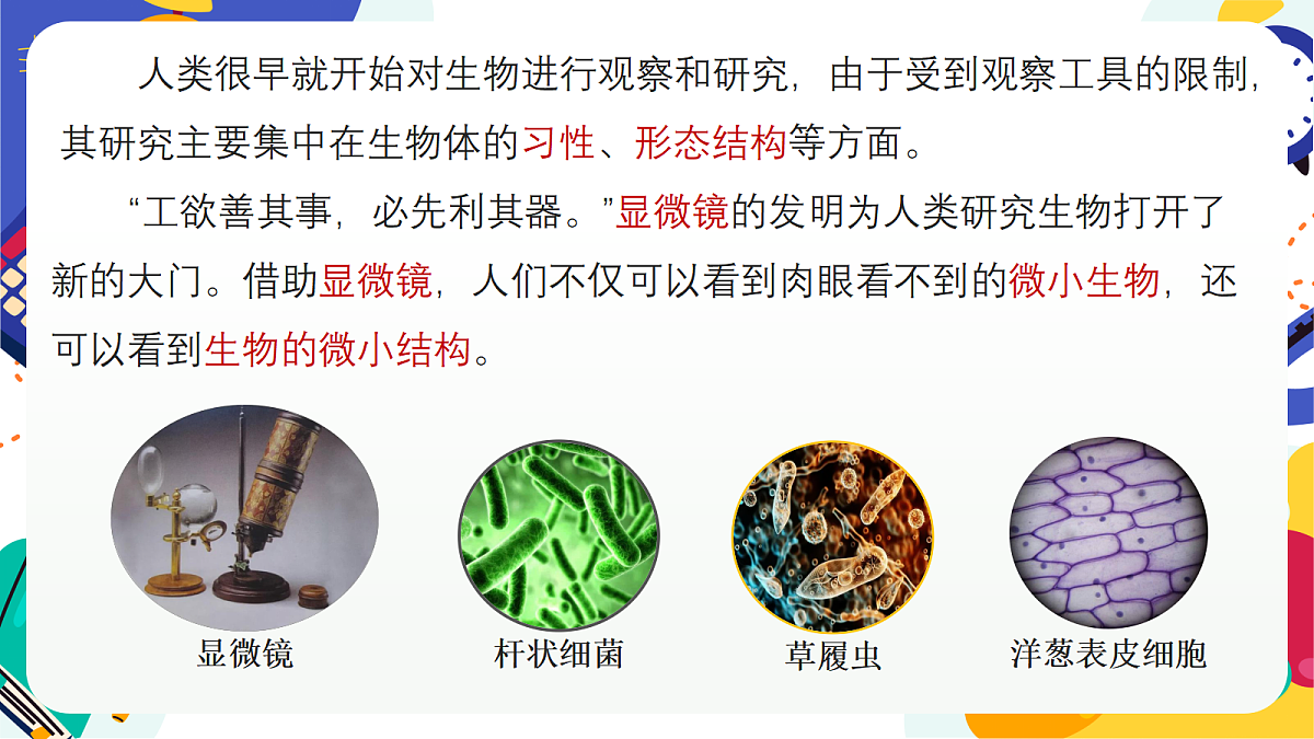 1.1《生物体的基本单位》课件 浙教版科学七上第6页