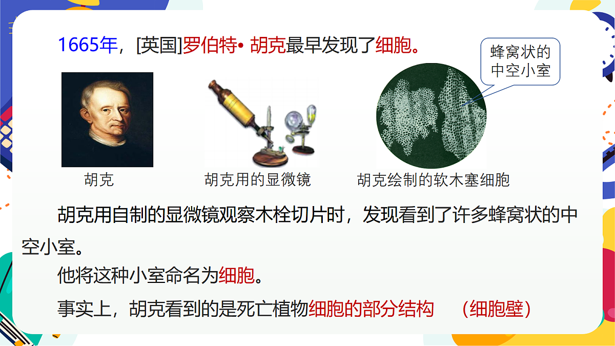 1.1《生物体的基本单位》课件 浙教版科学七上第7页