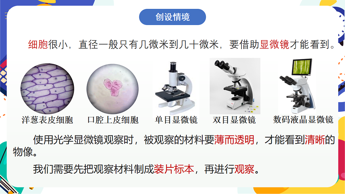 1.3《生物体的基本单位》课件 浙教版科学七上第2页