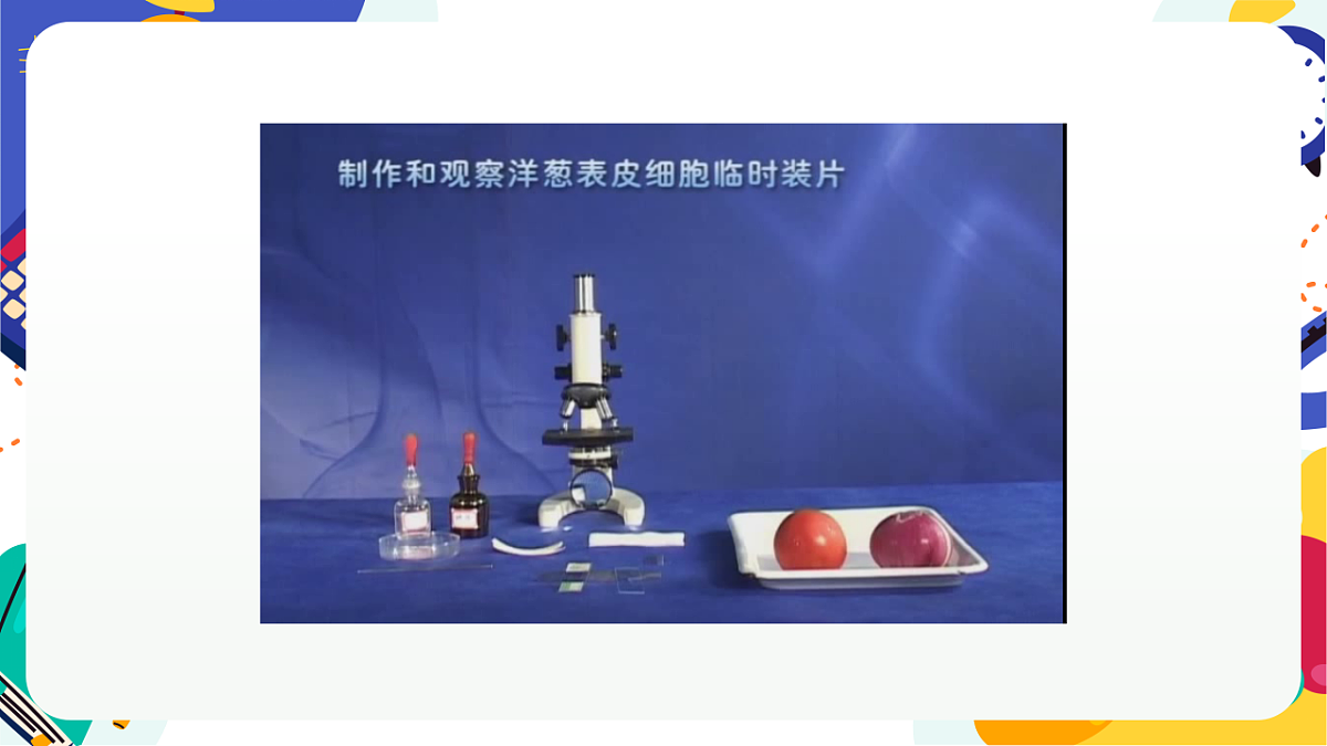 1.3《生物体的基本单位》课件 浙教版科学七上第4页