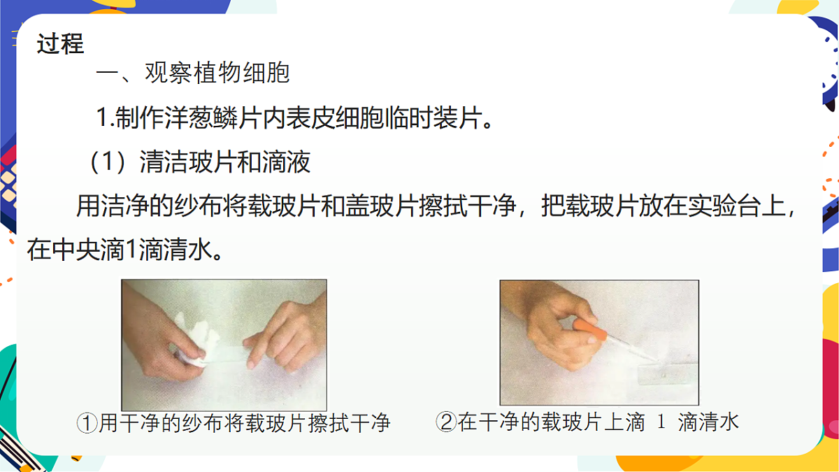 1.3《生物体的基本单位》课件 浙教版科学七上第5页
