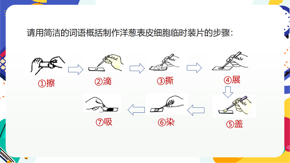 1.3《生物体的基本单位》课件 浙教版科学七上第8页