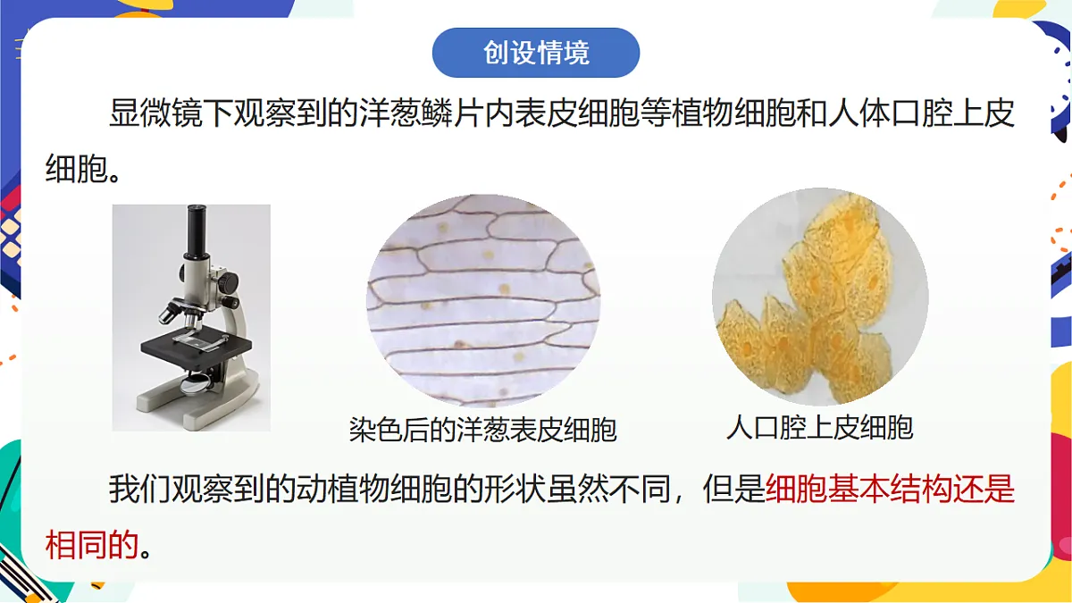 1.4《生物体的基本单位》课件 浙教版科学七上第2页