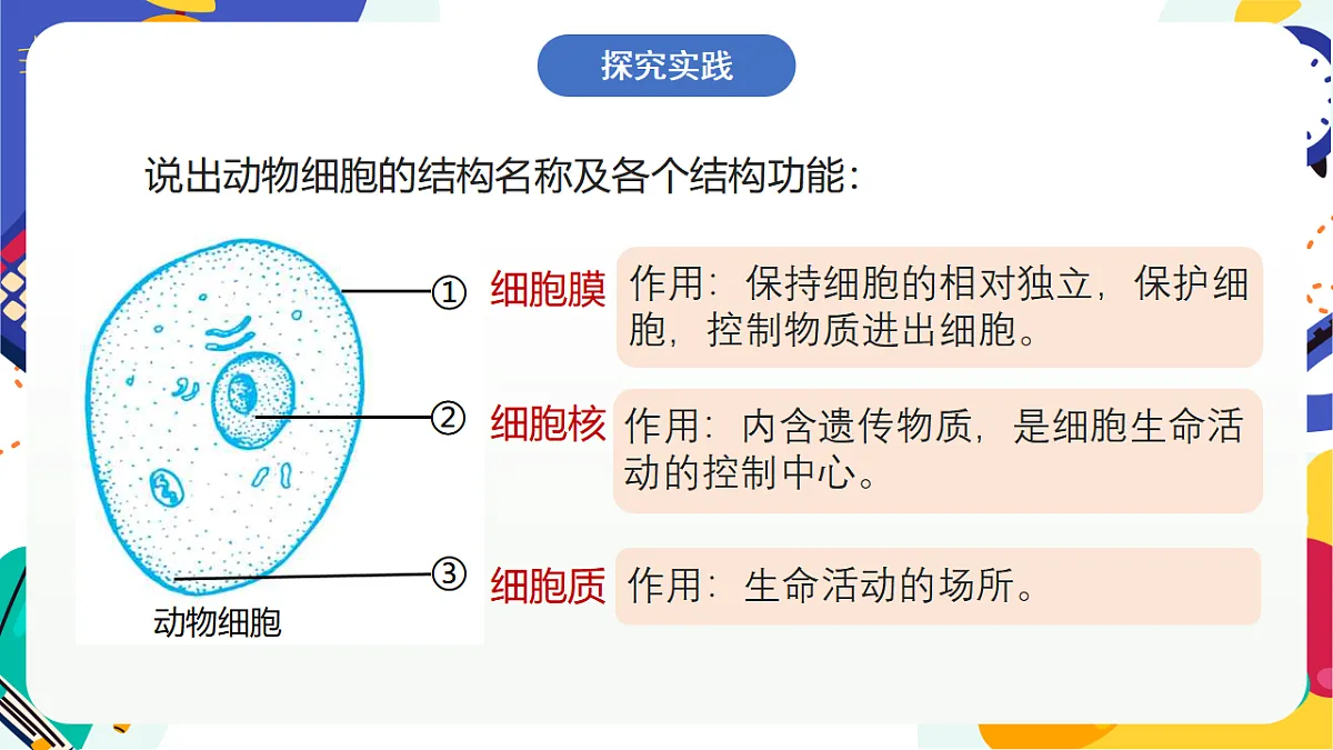 1.4《生物体的基本单位》课件 浙教版科学七上第3页