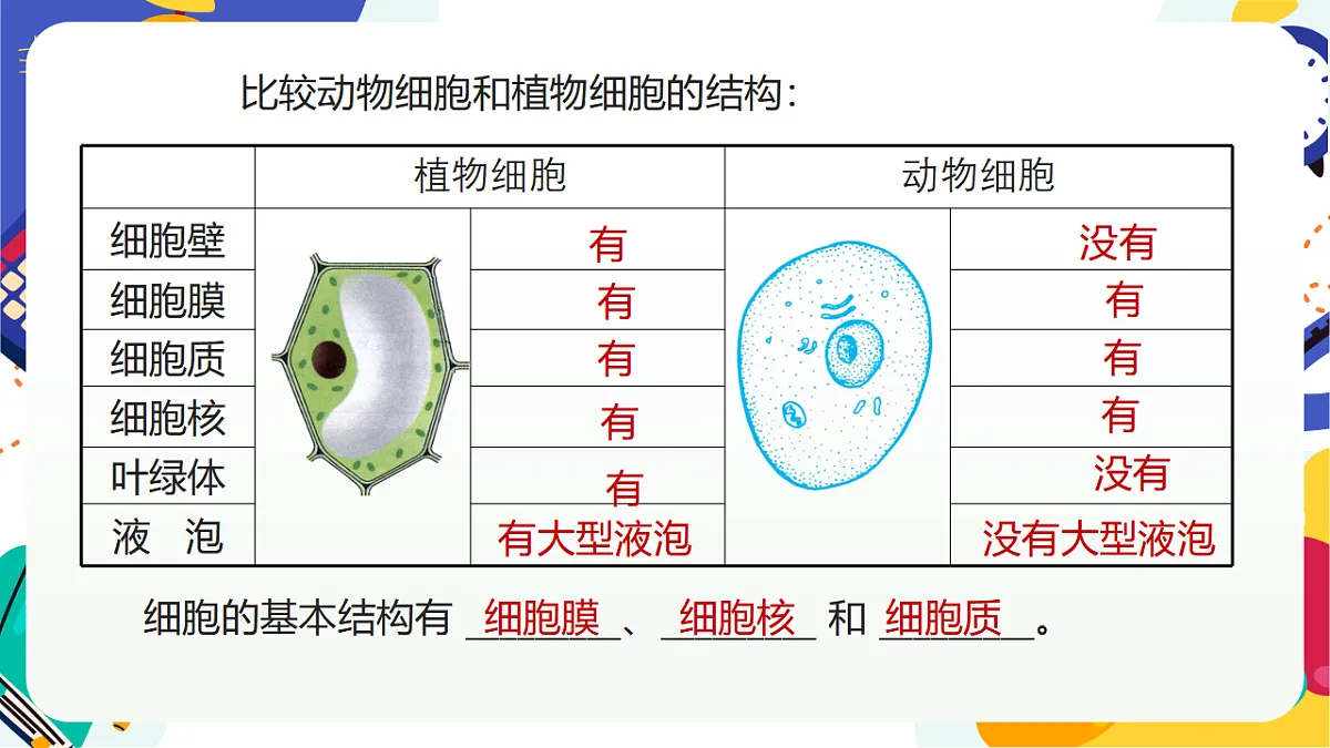 1.4《生物体的基本单位》课件 浙教版科学七上第6页