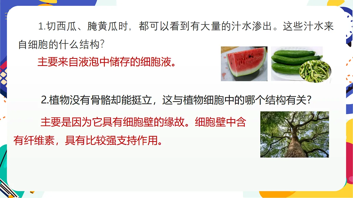 1.4《生物体的基本单位》课件 浙教版科学七上第7页