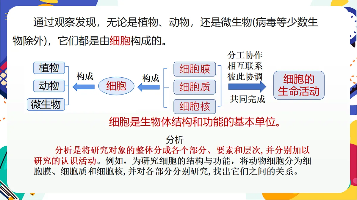 1.4《生物体的基本单位》课件 浙教版科学七上第8页