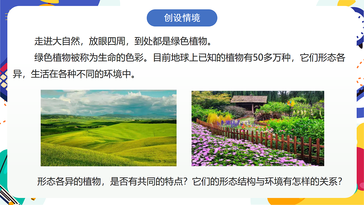 2.1《形形色色的植物》课件 浙教版科学七上第2页