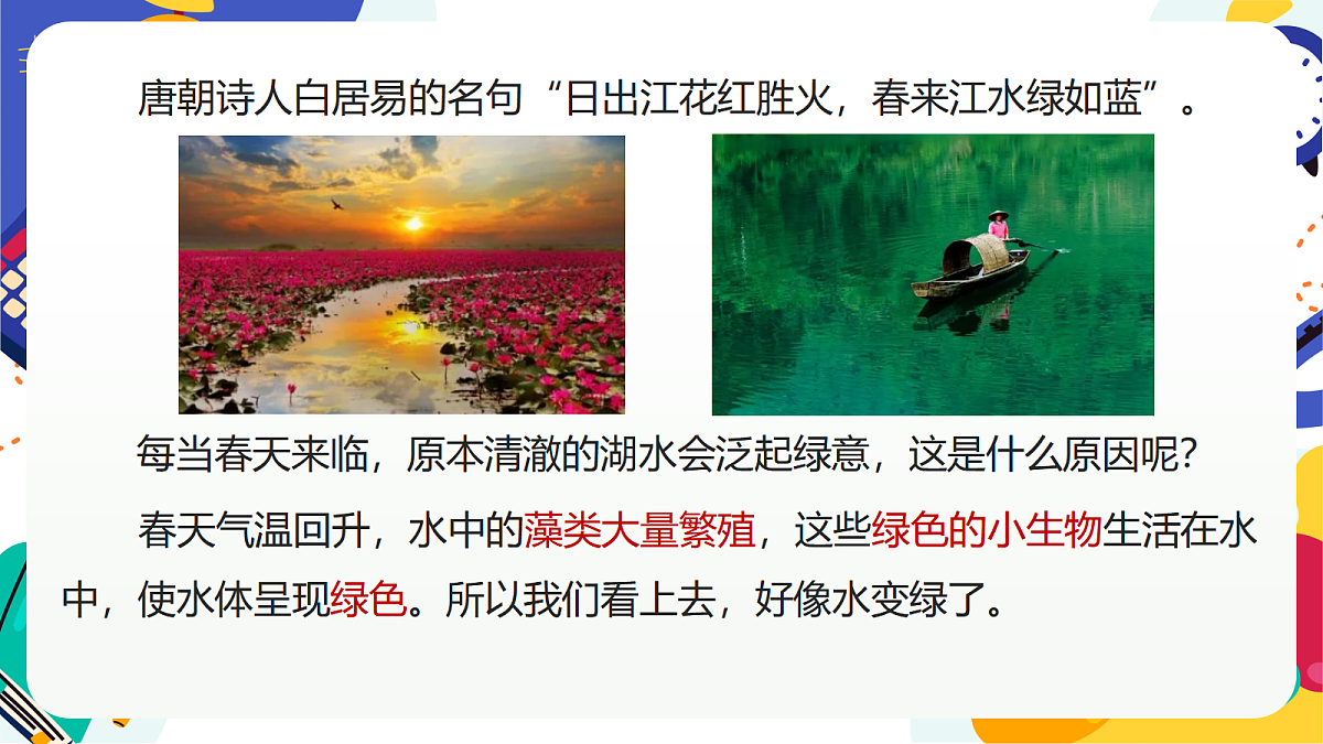 2.1《形形色色的植物》课件 浙教版科学七上第7页