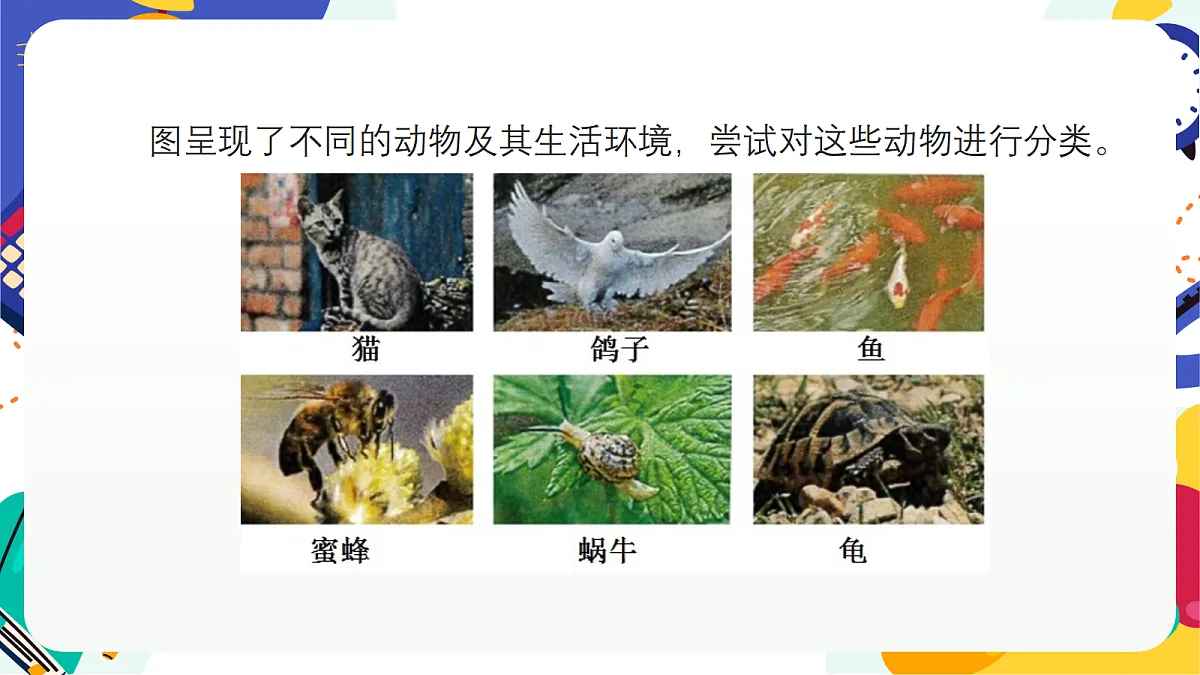 4.1《生物的分类》课件 浙教版科学七上第4页