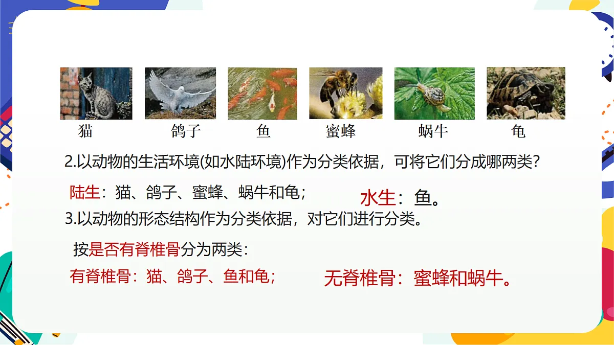 4.1《生物的分类》课件 浙教版科学七上第6页