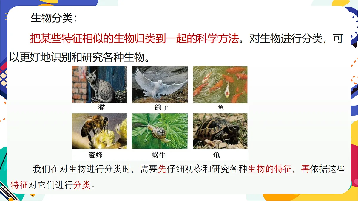 4.1《生物的分类》课件 浙教版科学七上第8页