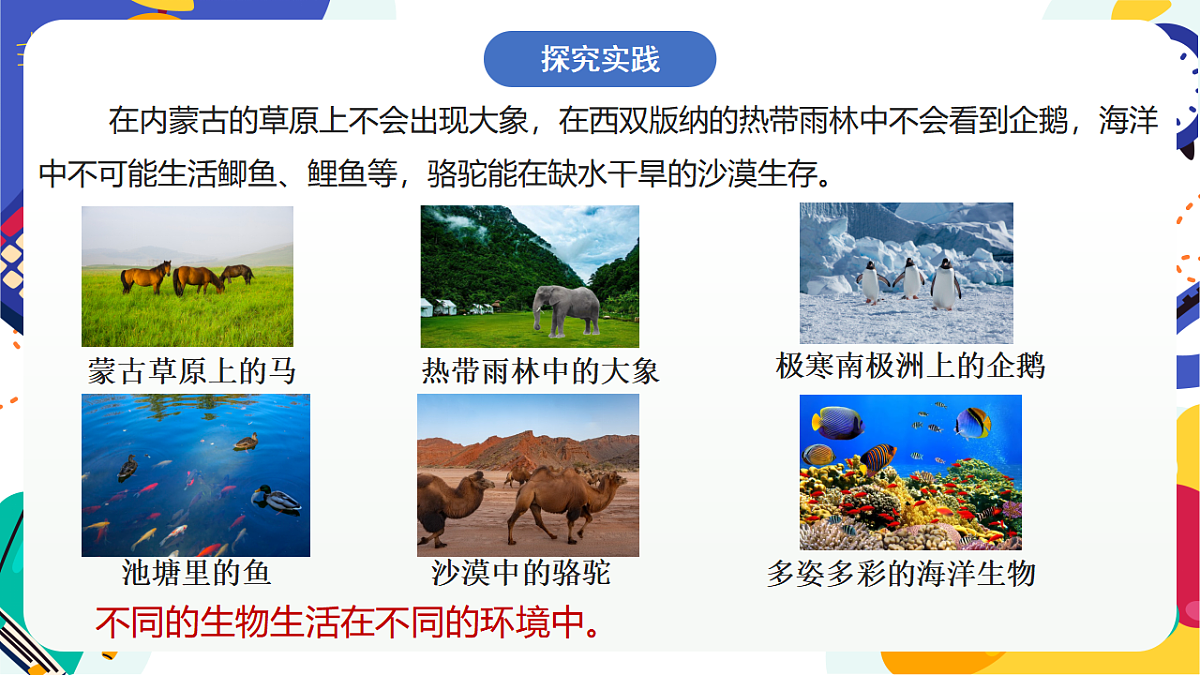 5.1《生物的多样性》课件 浙教版科学七上第3页