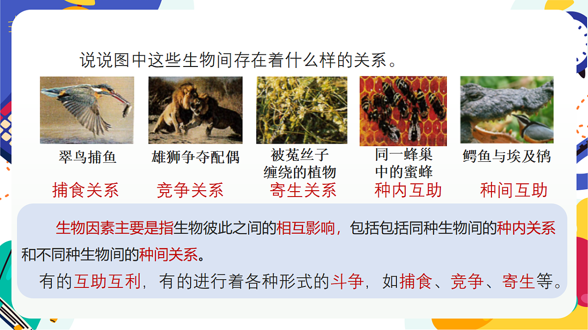 5.1《生物的多样性》课件 浙教版科学七上第7页