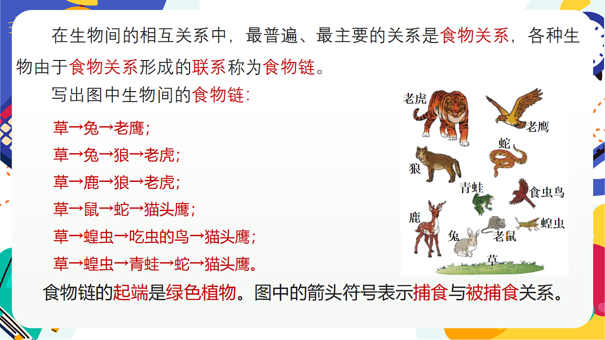 5.1《生物的多样性》课件 浙教版科学七上第8页