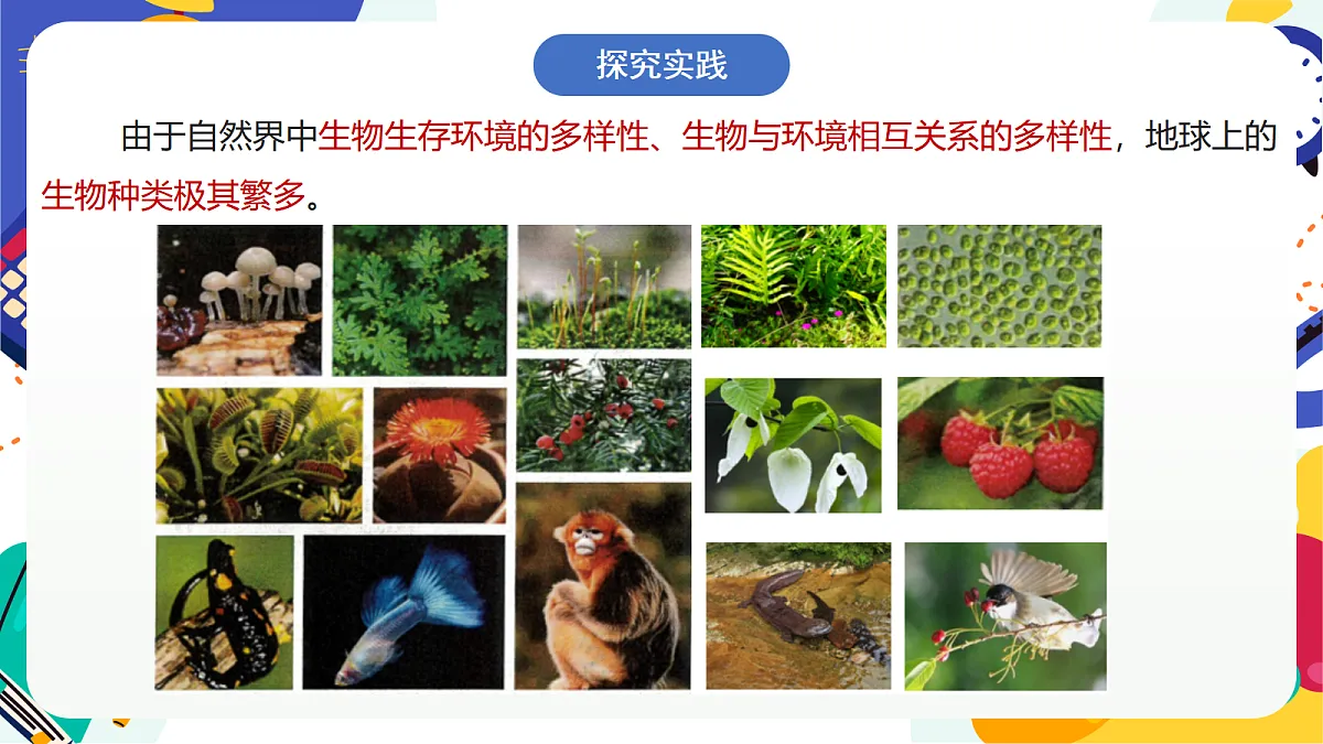 5.2《生物的多样性》课件 浙教版科学七上第3页