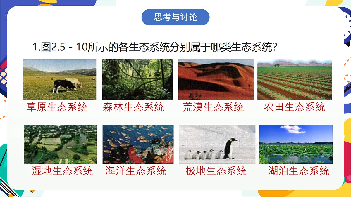 5.2《生物的多样性》课件 浙教版科学七上第5页