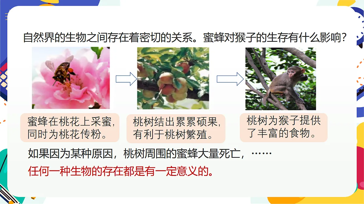 5.2《生物的多样性》课件 浙教版科学七上第7页
