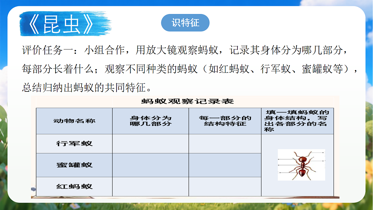 青岛版（六三制）2024科学三上1.1《昆虫》课件第4页