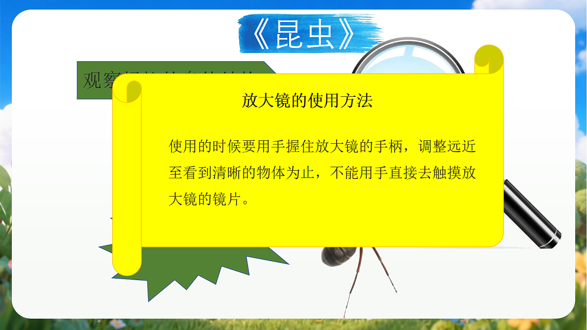 青岛版（六三制）2024科学三上1.1《昆虫》课件第5页
