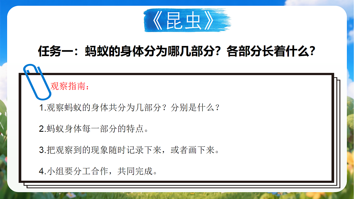 青岛版（六三制）2024科学三上1.1《昆虫》课件第6页