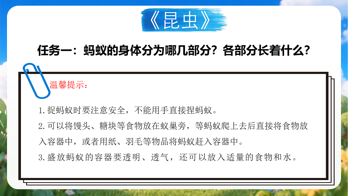 青岛版（六三制）2024科学三上1.1《昆虫》课件第7页